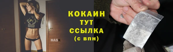 СК Алексин