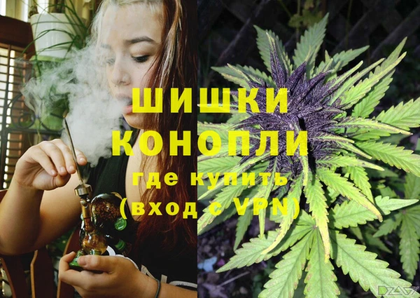 МДПВ Абдулино