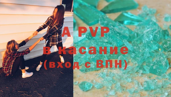 СК Алексин