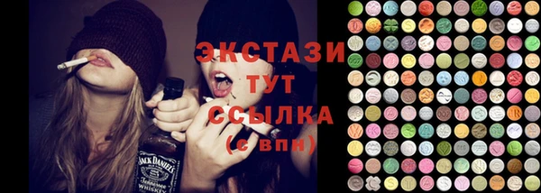 СК Алексин