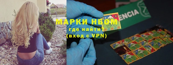 СК Алексин