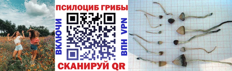 Галлюциногенные грибы Magic Shrooms Лиски