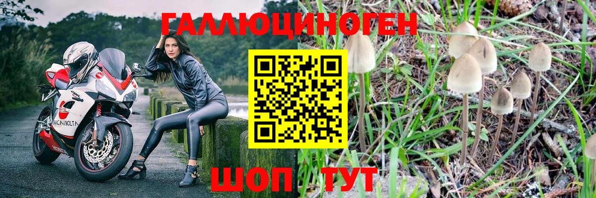 Псилоцибиновые грибы ЛСД Лиски