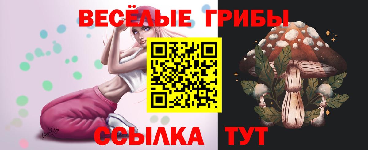 Псилоцибиновые грибы Magic Shrooms  Вход с VPN  магазин продажи наркотиков  Псилоцибиновые грибы Psilocybine cubensis  Лиски 